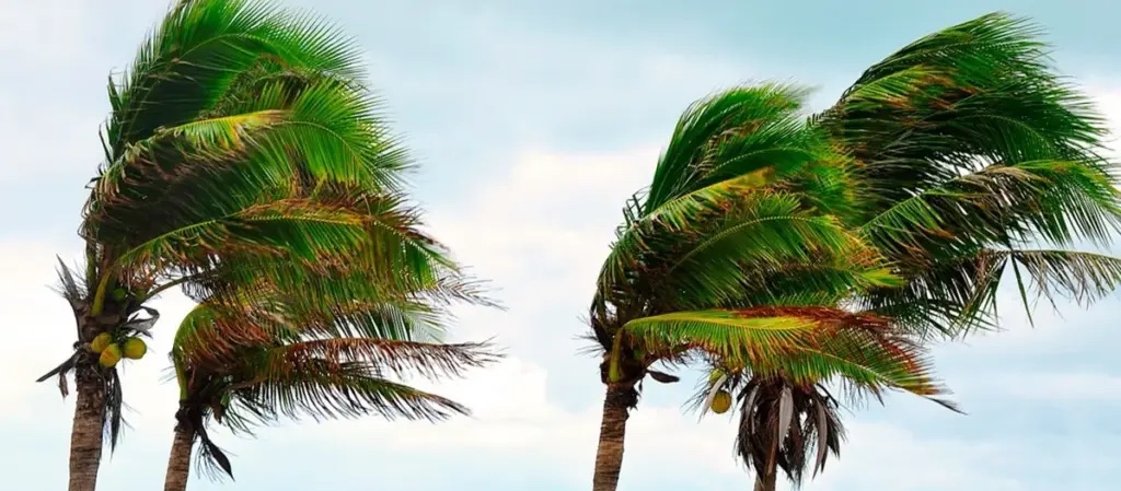 Foto: Canarias eleva a alerta el riesgo por viento en La Gomera ante rachas de más de 90 kilómetros por hora
