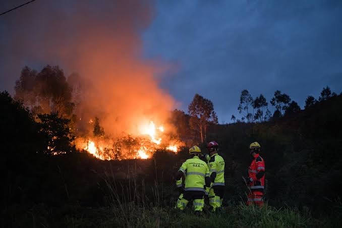 Foto: España suma 262.030 hectáreas afectadas por incendios y 43 grandes fuegos en lo que va de 2026